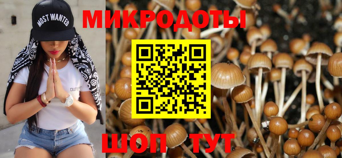 Псилоцибиновые грибы прущие грибы  Галлюциногенные грибы Psilocybine cubensis  Губкинский  Вход с VPN 