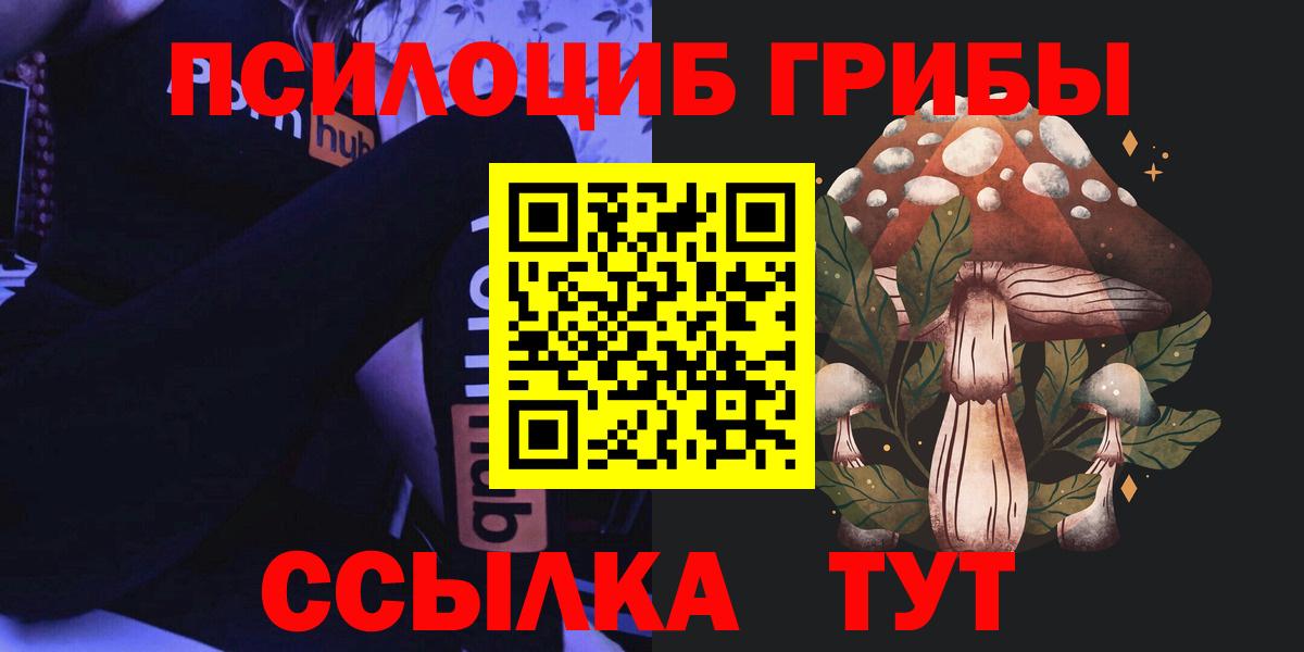 Галлюциногенные грибы прущие грибы Губкинский